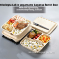 Eco Friendly Multi-Partment Sockercane Food Container